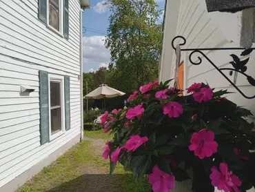 Flowers at The Alpine Homestead